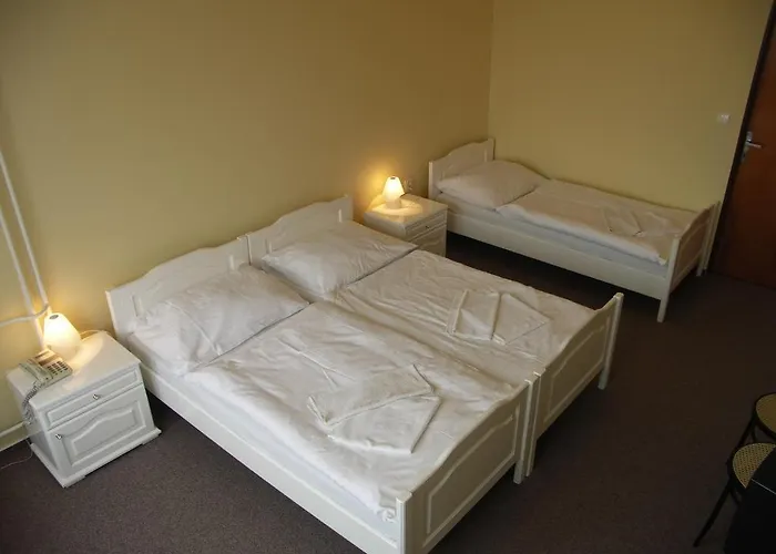 Bily Lev Hotel Rokycany