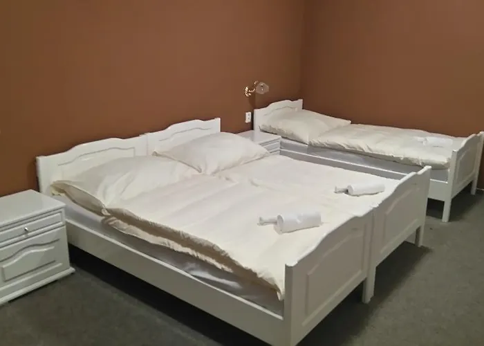 Hotel Bily Lev Rokycany