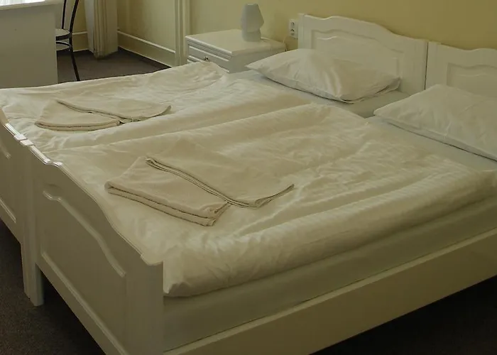 Hotel Bily Lev 3*